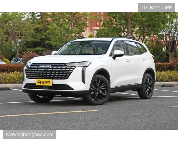 2.0T+8155芯片，第四代哈弗H6上市，卖11.79万起有戏吗？