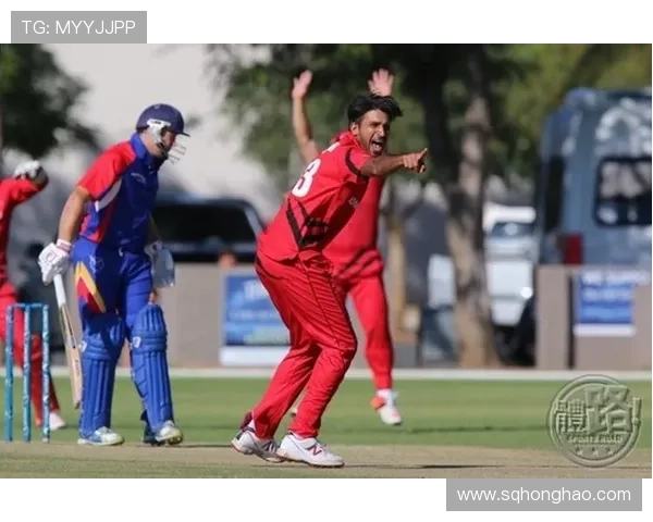 世界体育联赛有哪些（世界体育联赛商业价值排行）sports